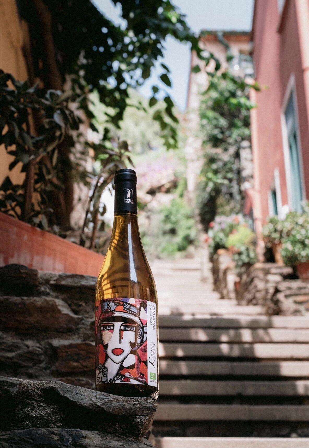 Biologische Orange  | Eigenzinnig, puur en vol zon