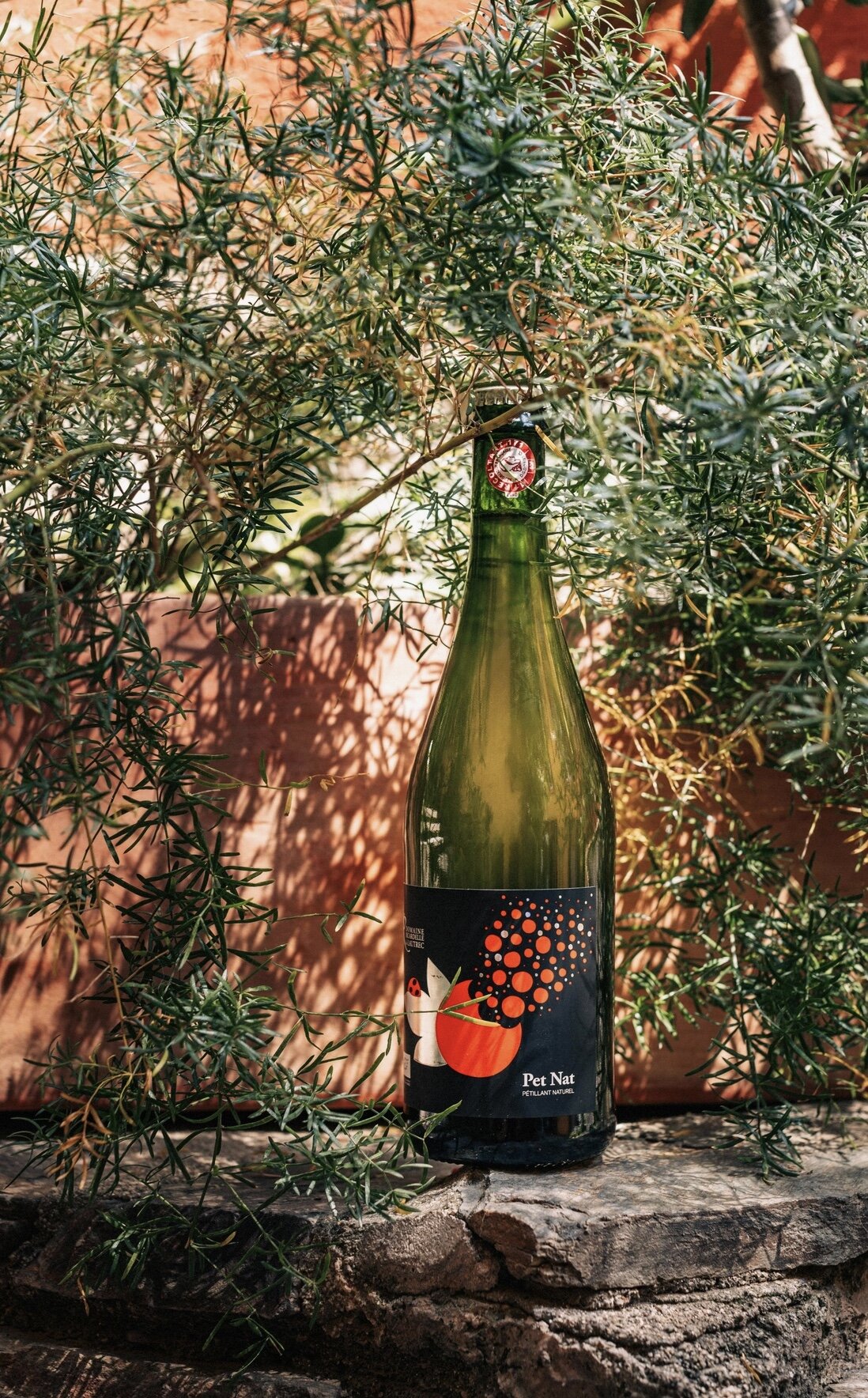 Mousserende Chardonnay | Puur, levendig en zonder poespas