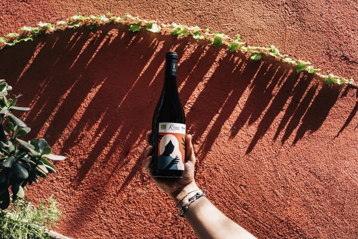 Biologische & Natuurlijke Pinot Noir | Puur, zacht en vol karakter