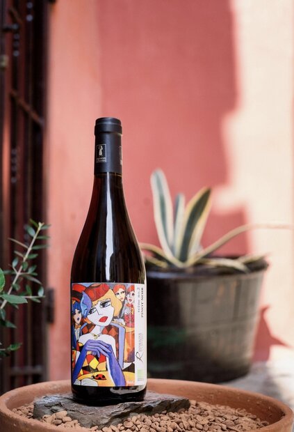 Pinot Noir  | Elegant, fruitig en fluweelzacht